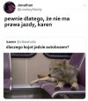 O kojocie, który jeździł autobusem