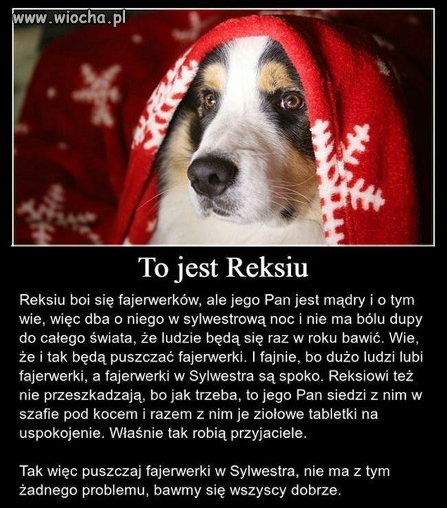 Bądź mądry