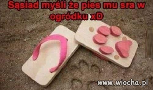 Sąsiedzie cza otruć gnoja