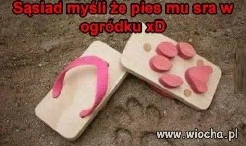 Sąsiedzie cza otruć gnoja