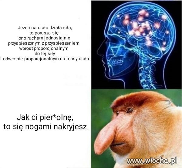 Druga zasada dynamiki Newtona