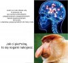 Druga zasada dynamiki Newtona