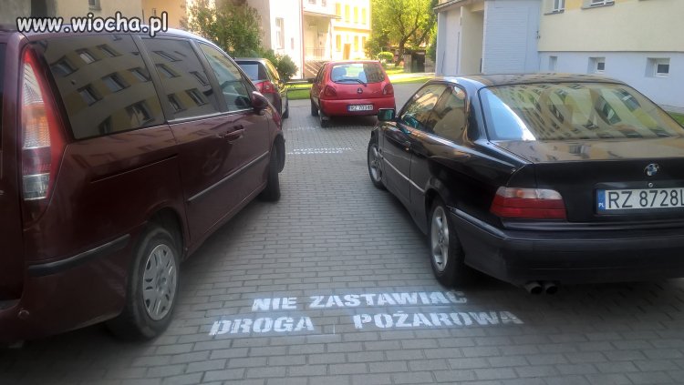 Bo język polski trudna rzecz dla wieśniaków