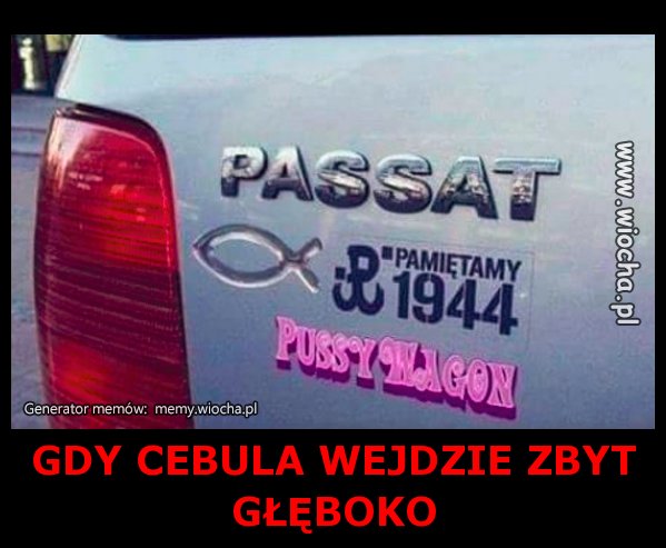 GDY CEBULA WEJDZIE ZBYT 
GŁĘBOKO 