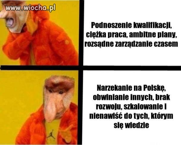 Narzekanie