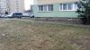 Śnieg stopniał to i petunie zakwitły