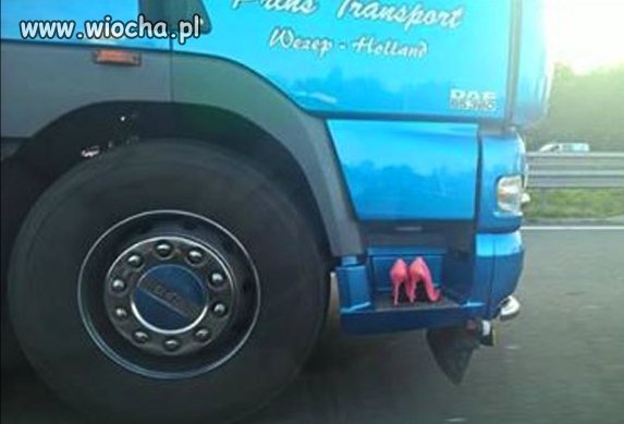 Chyba ma gości 