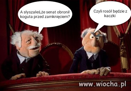 A słyszałeś...
