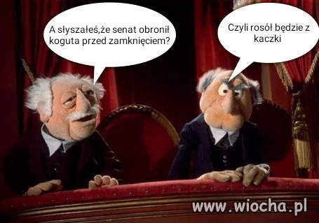 A słyszałeś...