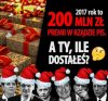 A ośmiorniczkami