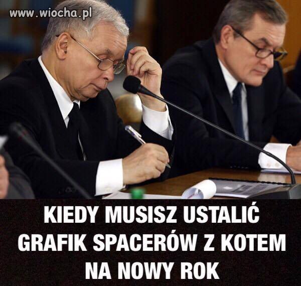 Dyżury 