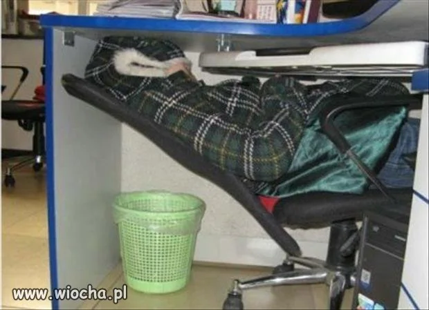 Praca