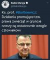 Jeszcze was dziwią porzucone psy?