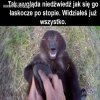 Misiek