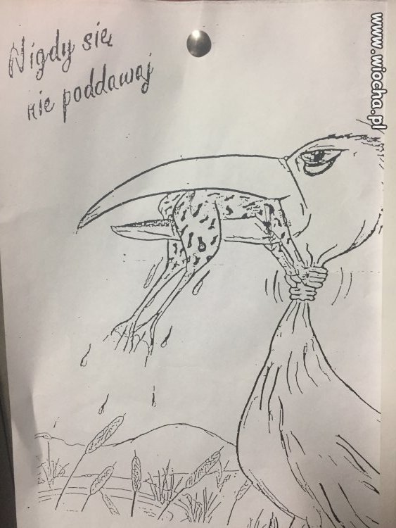 Nigdy się nie poddawaj