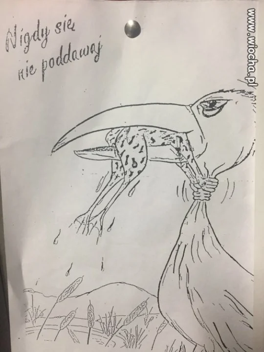 Nigdy się nie poddawaj
