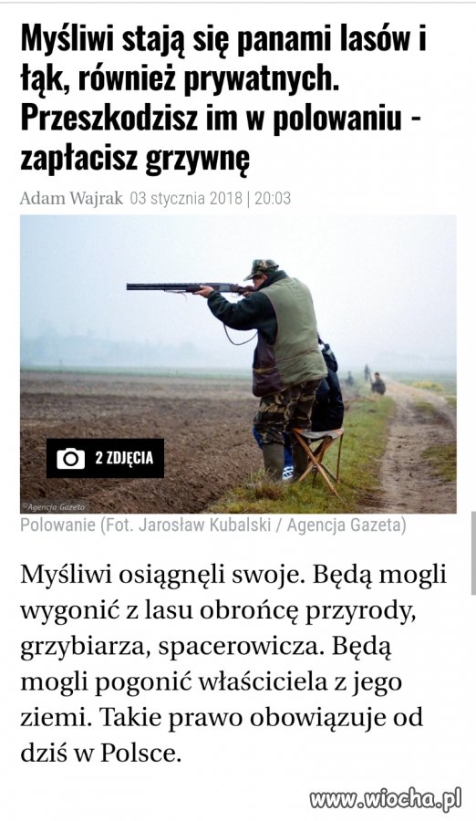 Rasa panów?