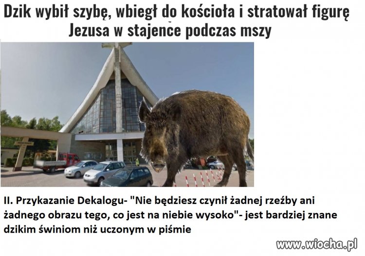 Ale wkoło jest wesoło, dzik w kościele ,małpy w Sejmie