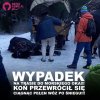 Proponuję zamiast koni 