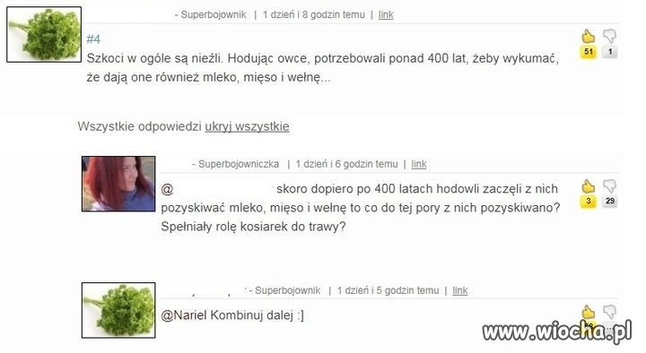 Szkockie owce