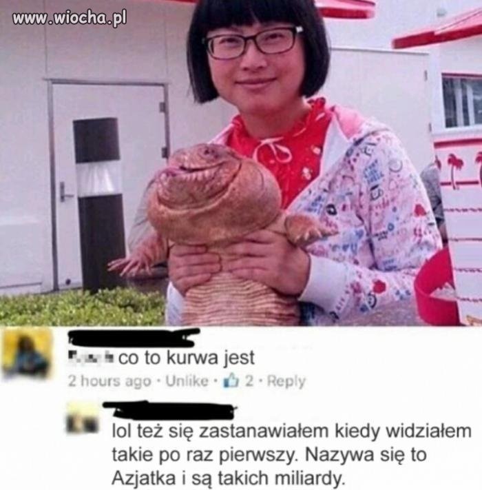 Dziwne stworzenie