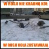 Koła 