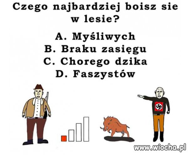 Czego najbardziej boisz się w lesie?