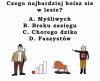 Czego najbardziej boisz się w lesie?