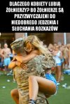 Coś w tym jest 