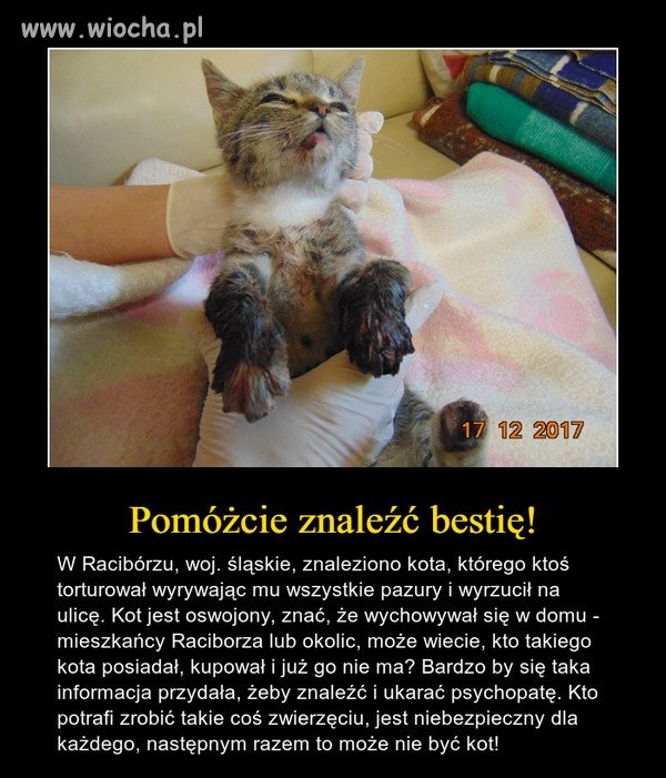 Sprawca zasłużył na bardzo surową karę 