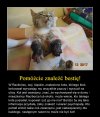 Sprawca zasłużył na bardzo surową karę 
