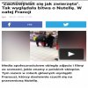Jak zwierzęta