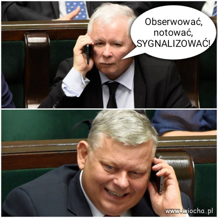 Obserwować, notować, SYGNALIZOWAĆ 
