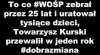 Takie porównanie.