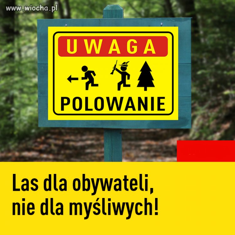 Pamietaj