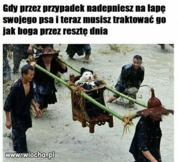 Za każdym razem
