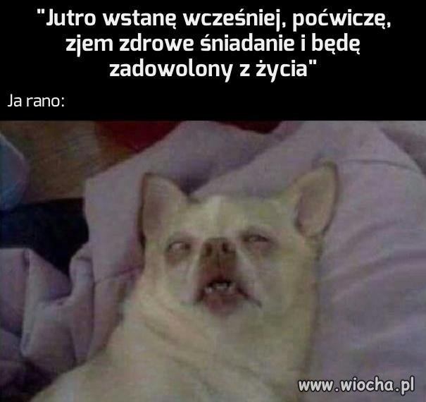 Każdego wieczoru to samo
