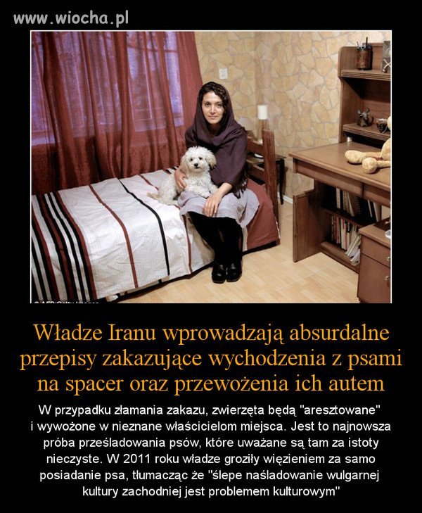 Absurdalne przepisy... 