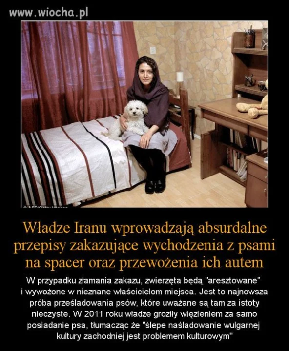 Absurdalne przepisy... 