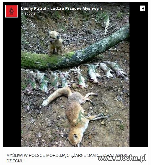 Koniecznie trzeba to ukrócić.