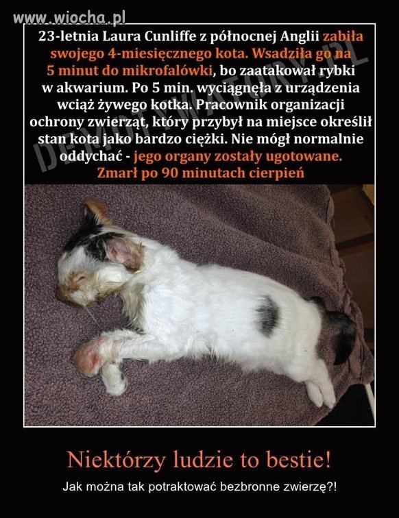 Niektórzy to mają z garem