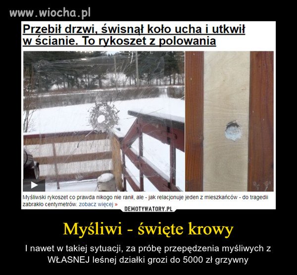 Pomylił jego dom z dzikiem 