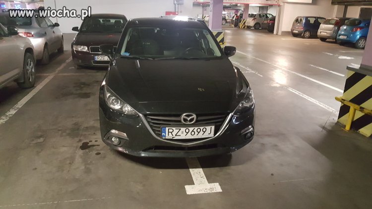 "Miszcz parkowania"