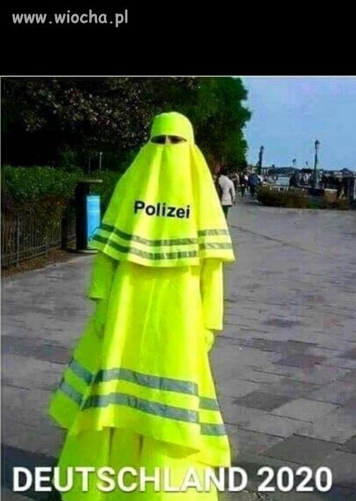 Znalezione 