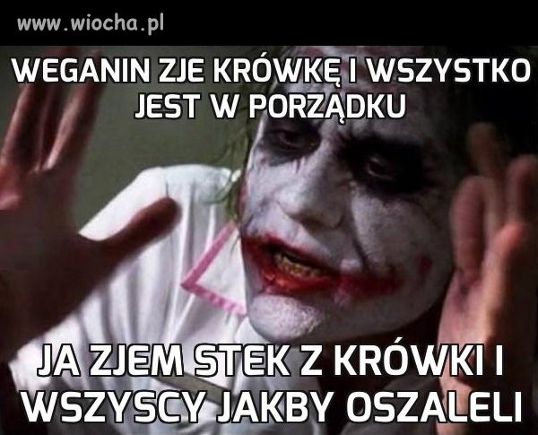 No i gdzie tu logika