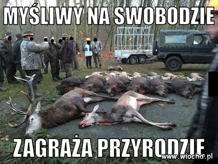 Bogaci zwyrodnialcy