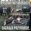 Bogaci zwyrodnialcy