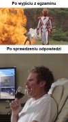 Gdy 86 raz zdajesz na prawko