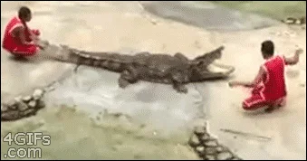 Taki 