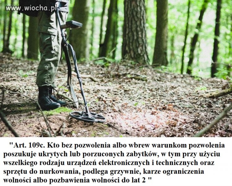 Sejm zaostrzył kary dla "nielegalnych"poszukiwaczy
